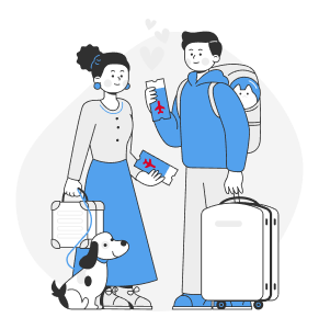 Domestic Travel Policy